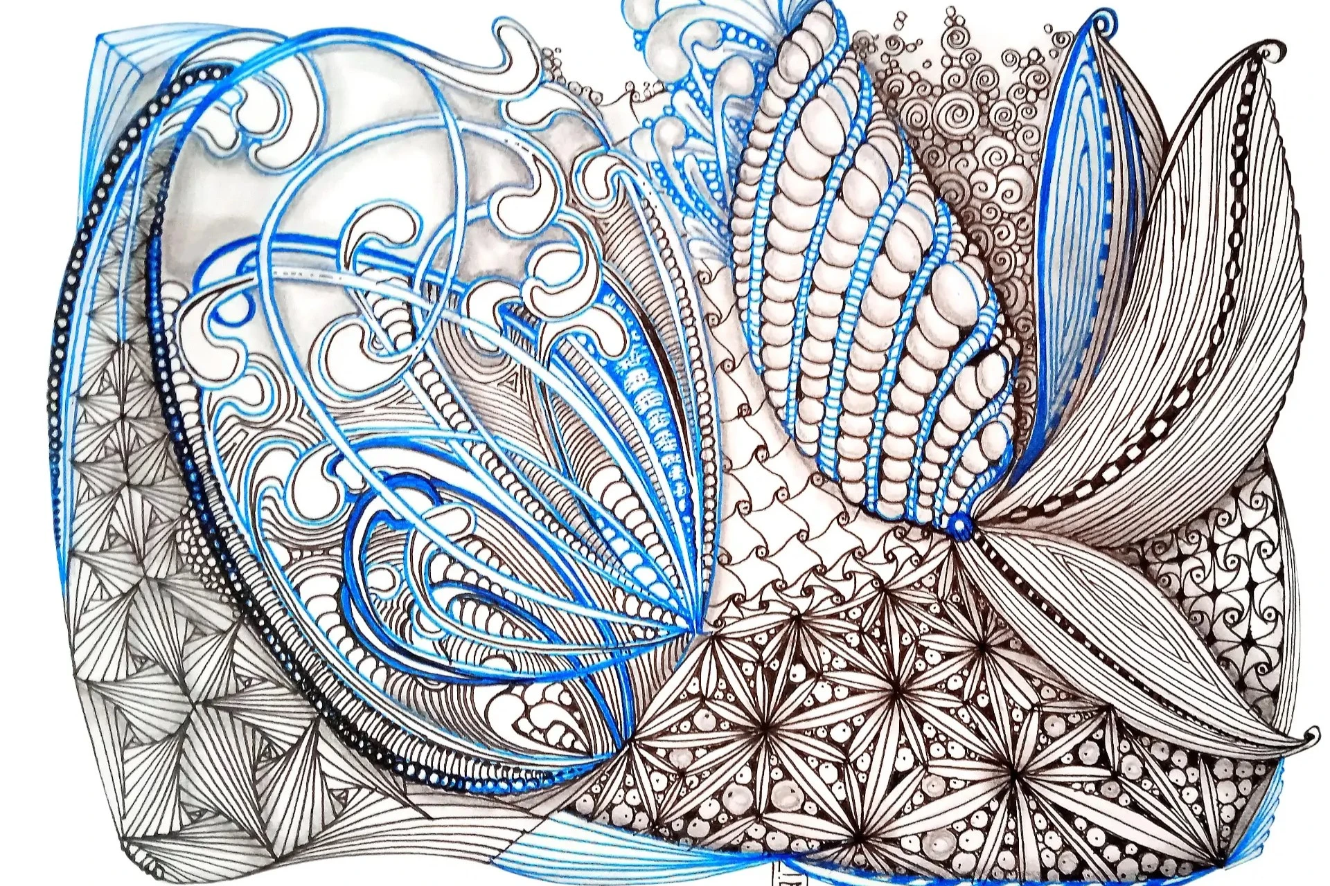 Zentangle®